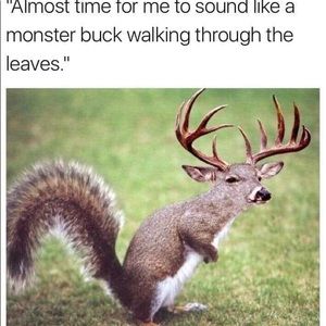 Meet your Posher, Steve